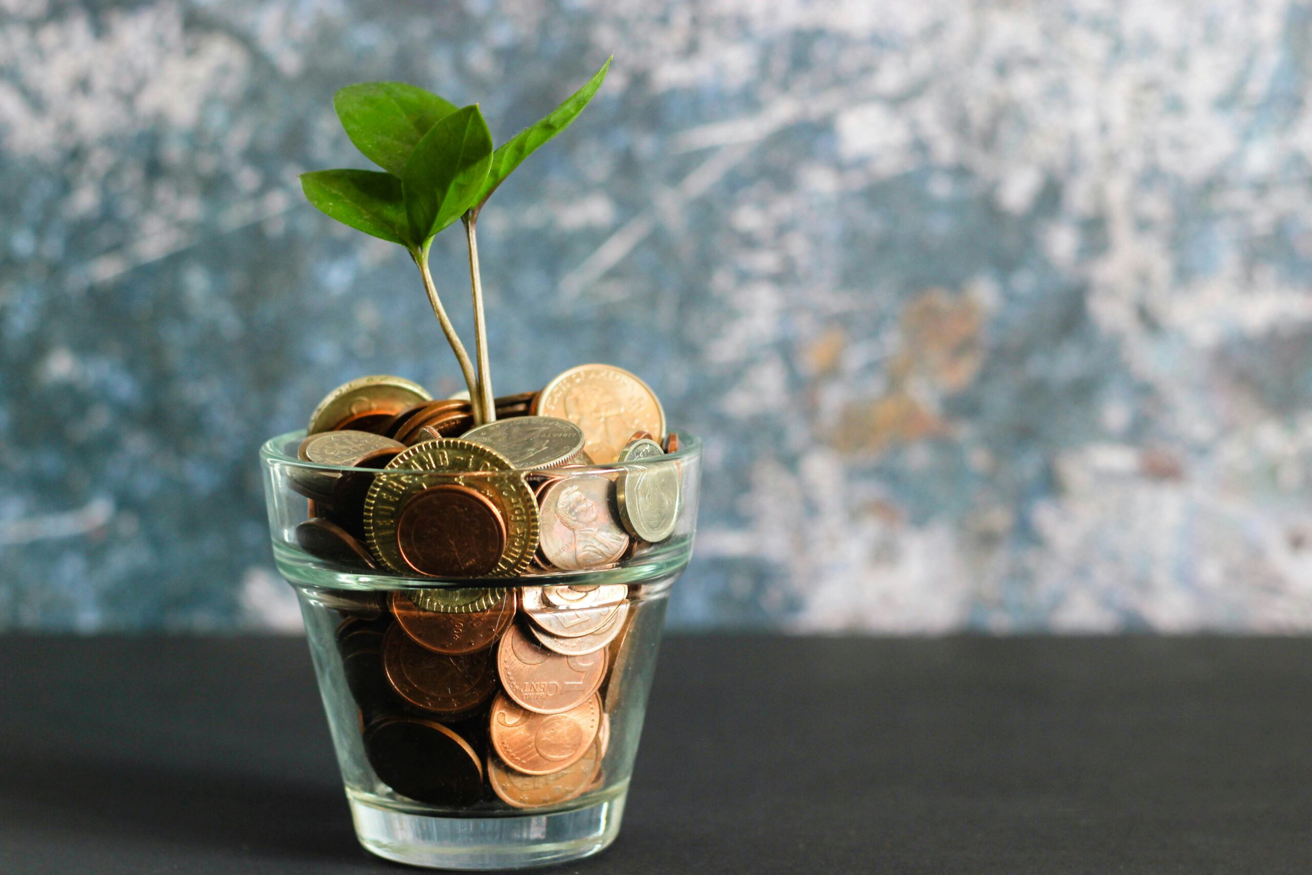 Investicija. Unsplash nuotr